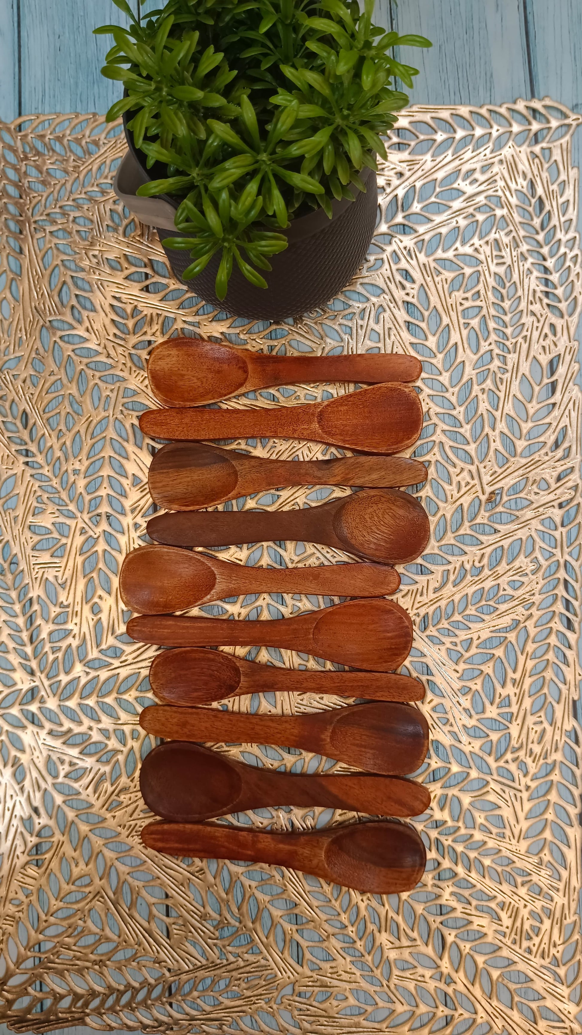WB wooden spoon 10 pcs