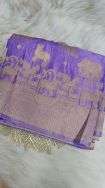 Banarasi CS24