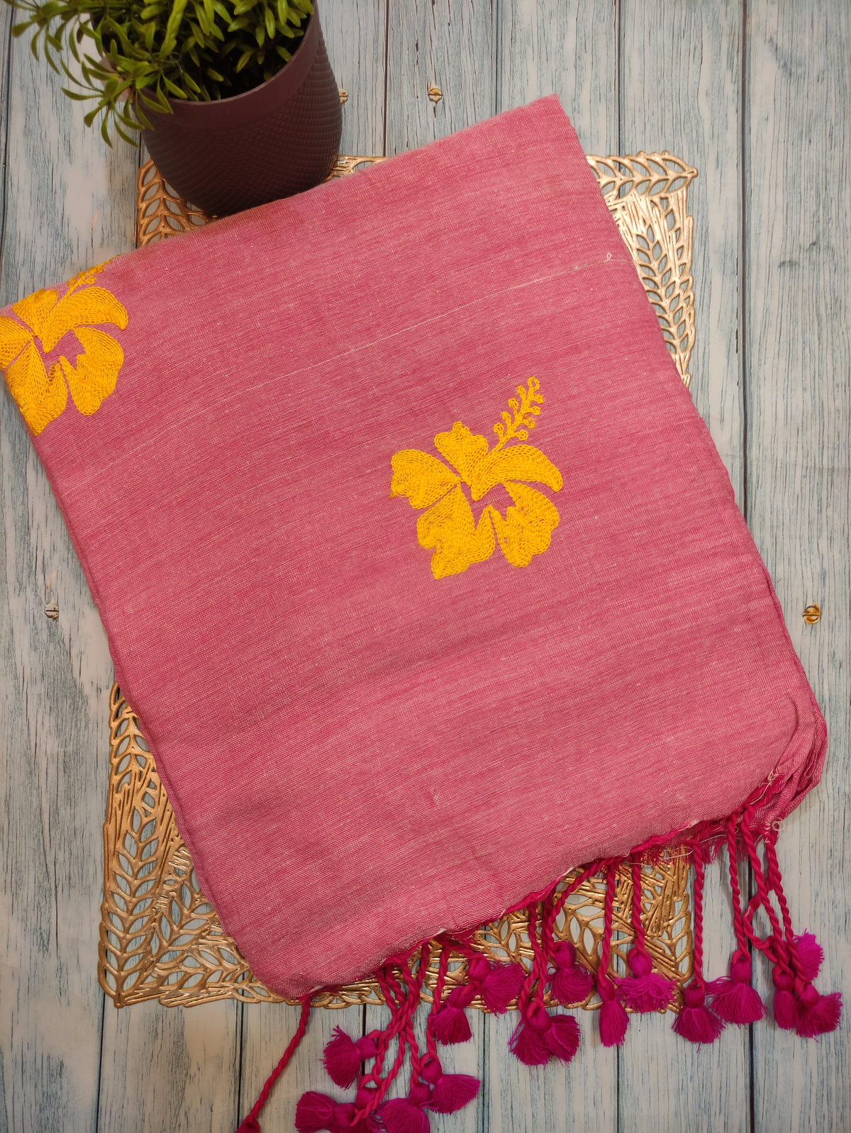 Hibiscus khadi HK02