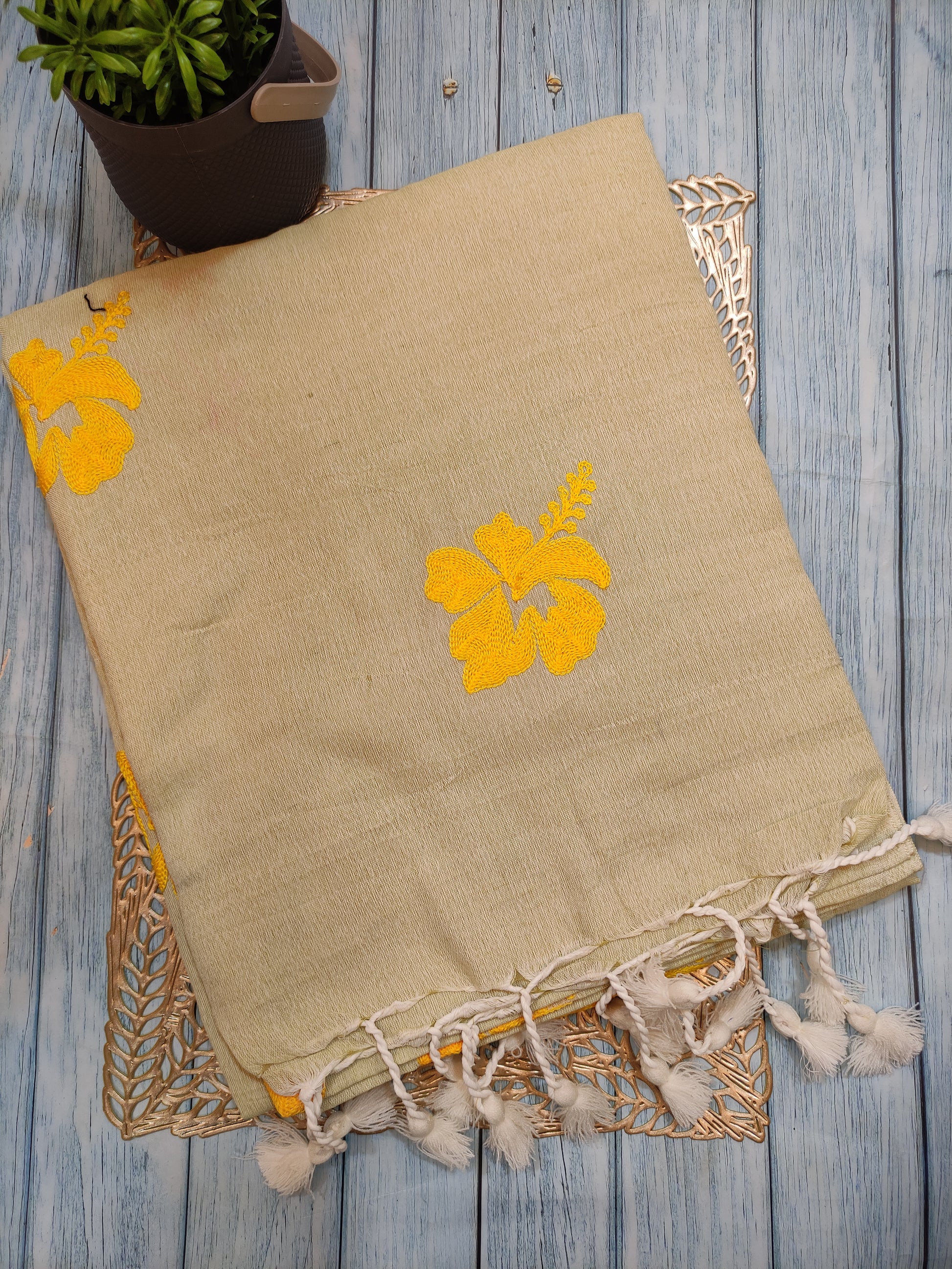Hibiscus khadi HK36